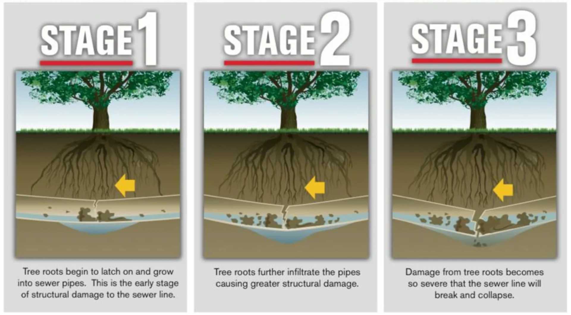 stages 1, 2, and 3 of how tree roots grow into sewer pipes.