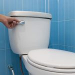 flushing toilet