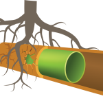 trenchless sewer pipe repair